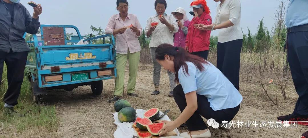 itb8888通博(中国)官方网站