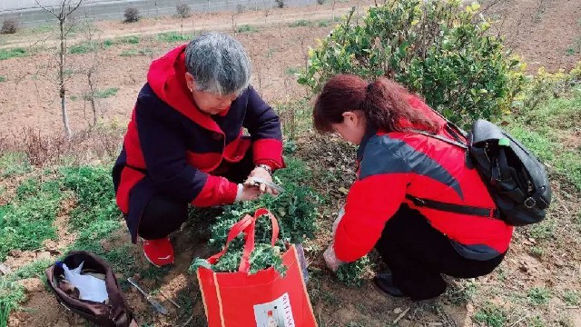 itb8888通博(中国)官方网站