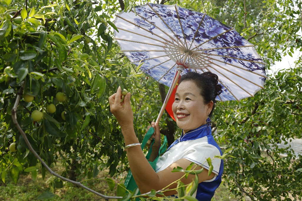 itb8888通博(中国)官方网站